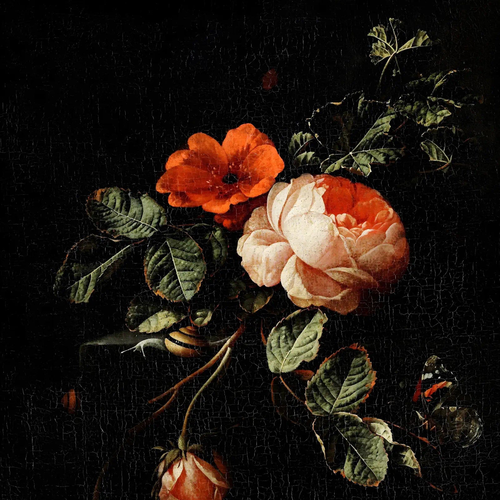 Floral & Botanical