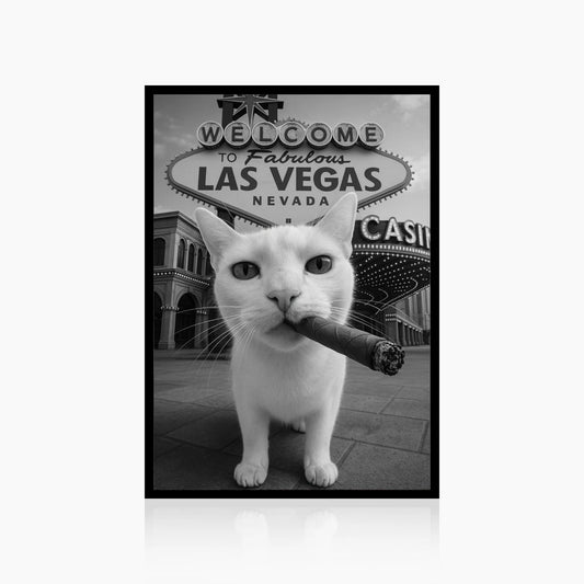 City Kitty