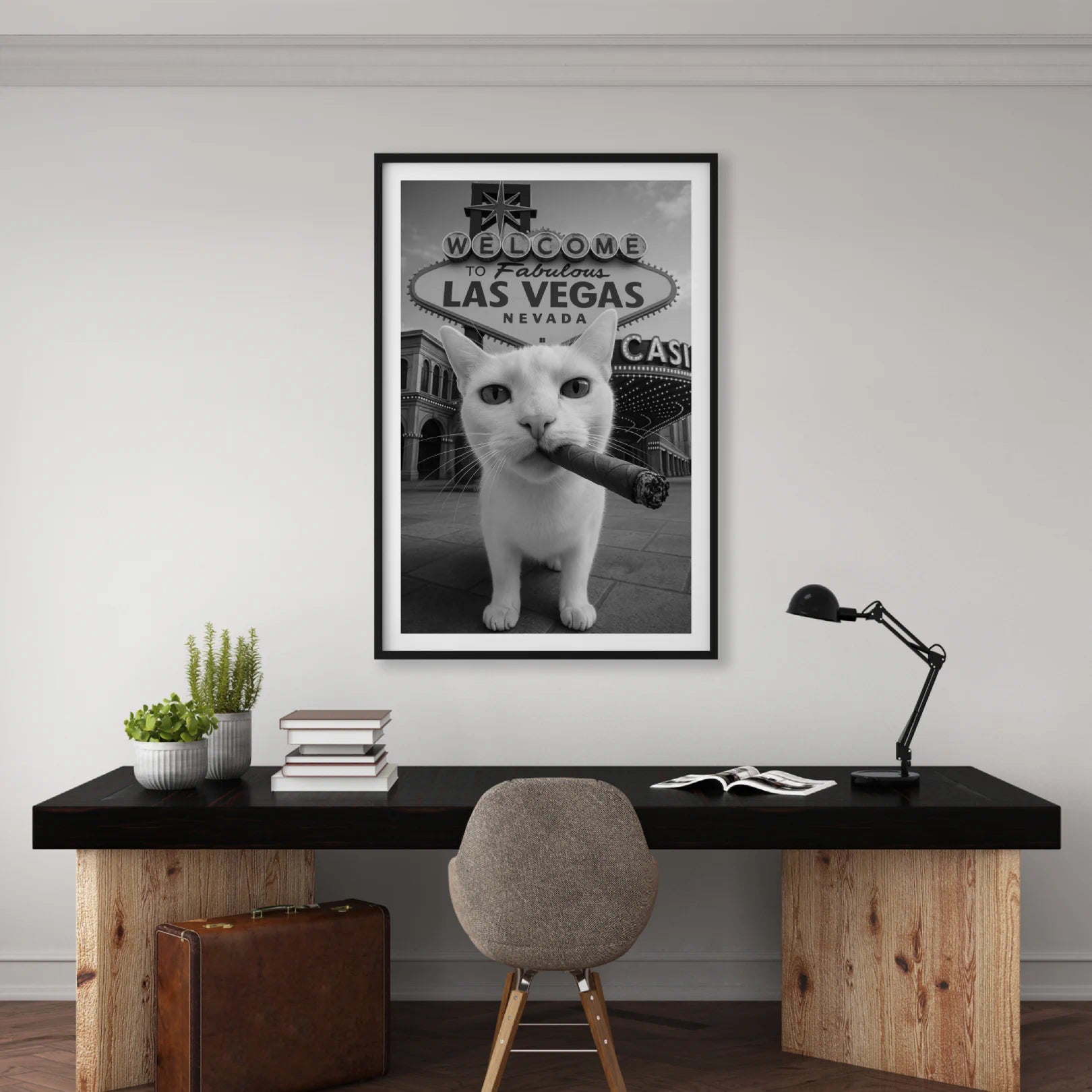 City Kitty