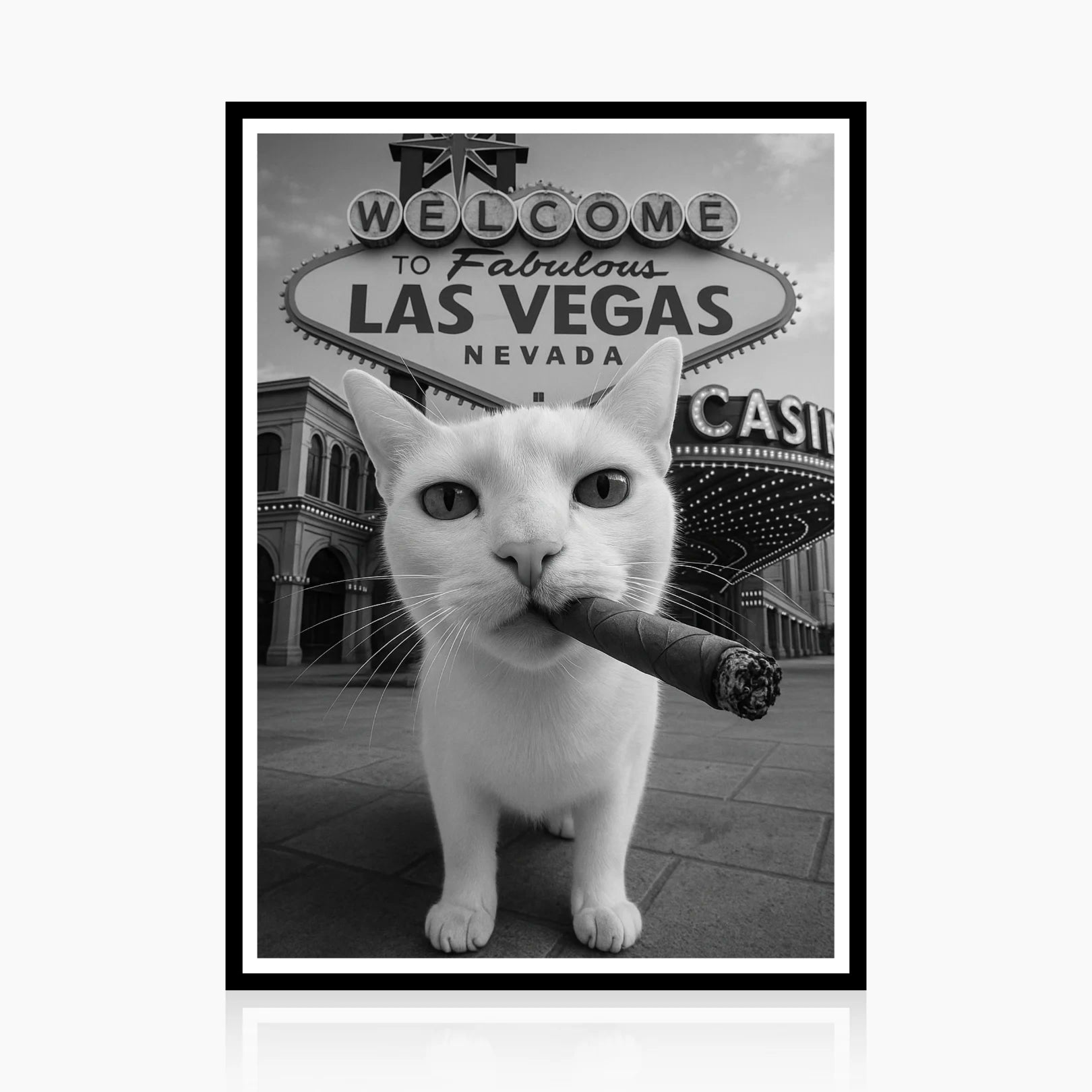 CITY KITTY POSTER - FIRST MOCKUP