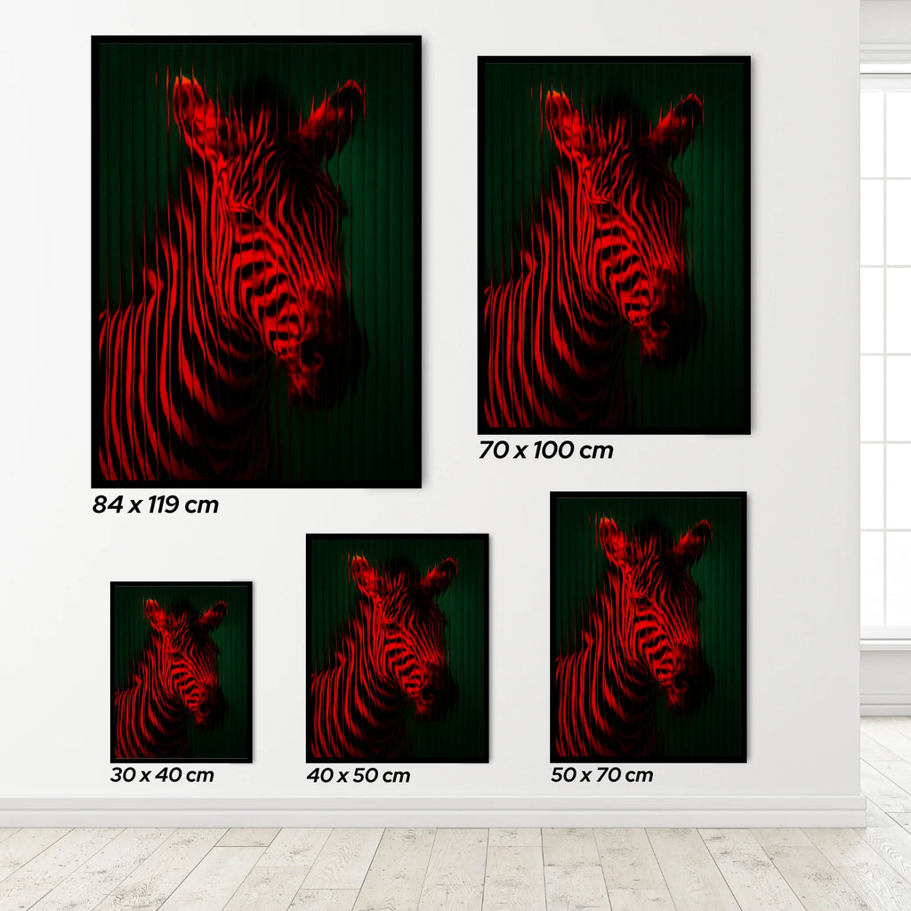 Set of zebra wall art prints in various sizes on a white wall.