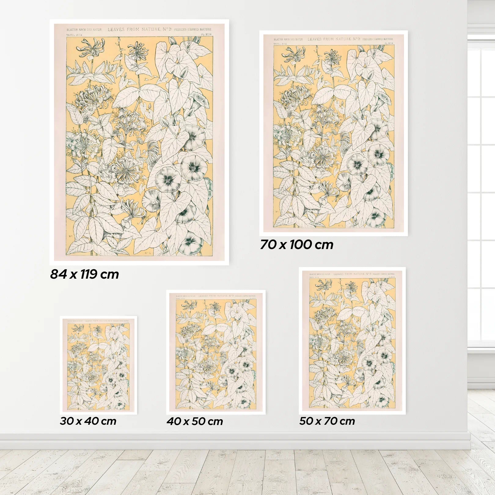 Set of floral prints with dimensions displayed on a wall.