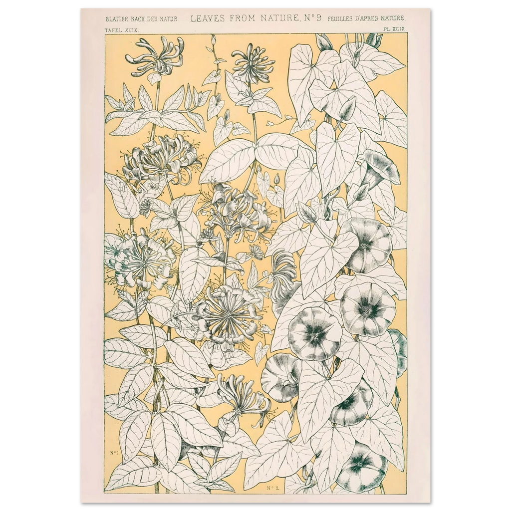 Botanical illustration of leaves and flowers on a yellow background