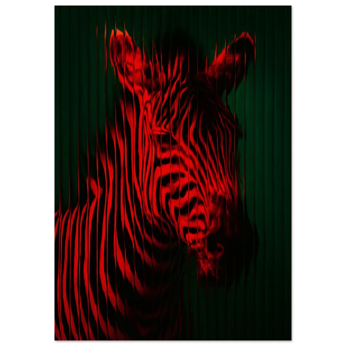 Red striped zebra illustration on a dark green background