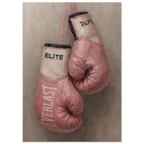 Pink boxing gloves poster with 'Everlast' branding on a textured beige background